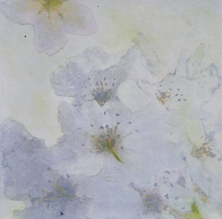 Jacqueline Borner